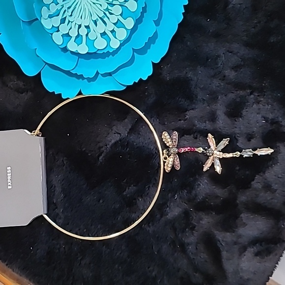 Express choker - Picture 2 of 5